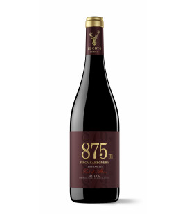 2018 El Coto 875 m Finca Cabornera trocken